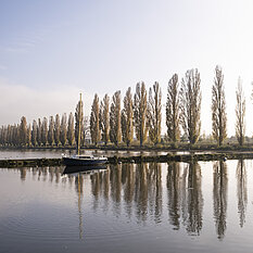 © Ville d'Yverdon-les-Bains / Pauline Humbert