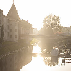 © Ville d'Yverdon-les-Bains / Pauline Humbert