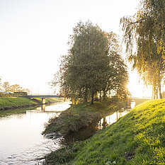 © Ville d'Yverdon-les-Bains / Pauline Humbert