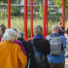 © Ville d'Yverdon-les-Bains / Carole Alkabes